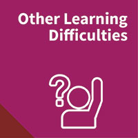 Other Learning Difficulties